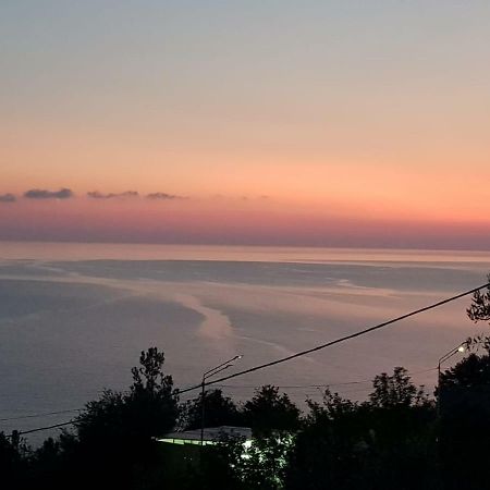 Гостевой Дом Мимоза Gagra Exteriér fotografie