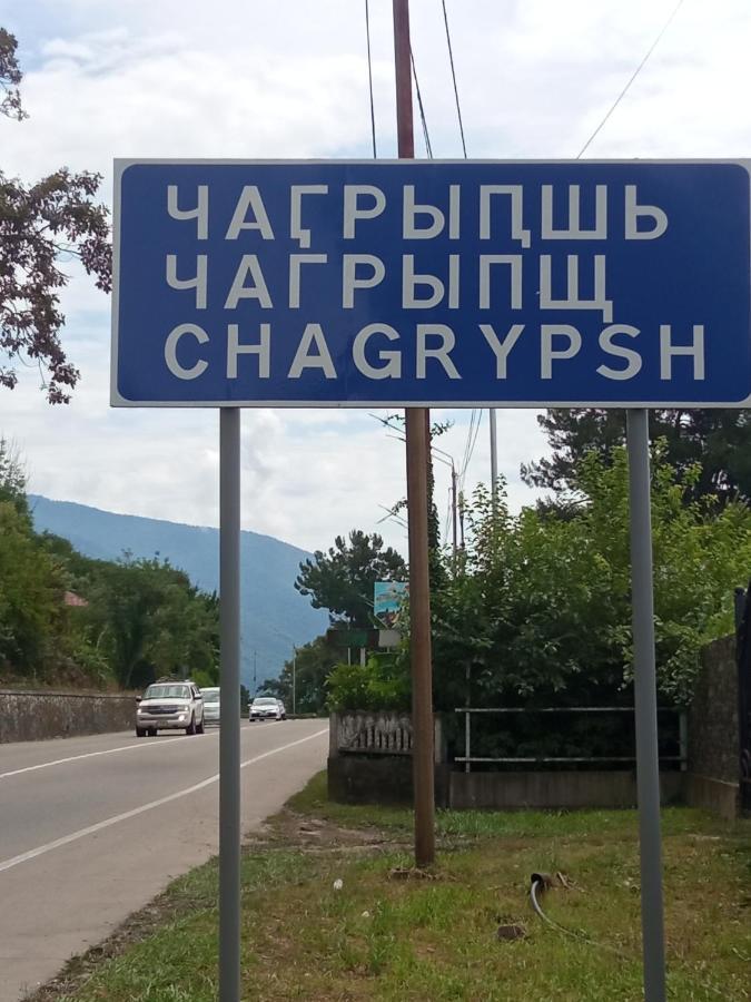 Гостевой Дом Мимоза Gagra Exteriér fotografie