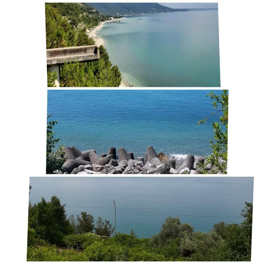 Гостевой Дом Мимоза Gagra Exteriér fotografie