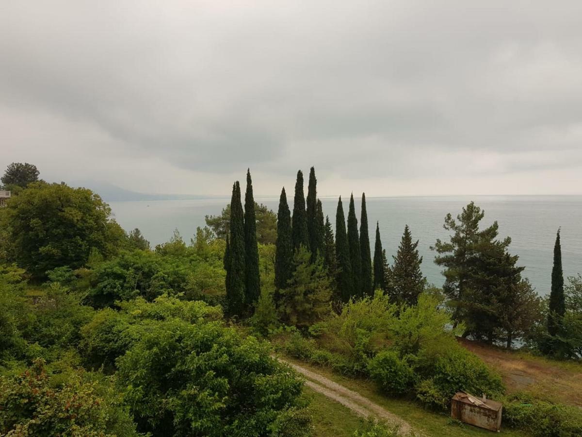 Гостевой Дом Мимоза Gagra Exteriér fotografie